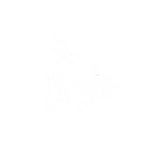 Logos for Website-13